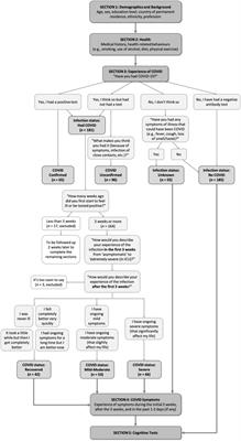 COVCOG 1: Factors Predicting Physical, Neurological and Cognitive Symptoms in Long COVID in a Community Sample. A First Publication From the COVID and Cognition Study